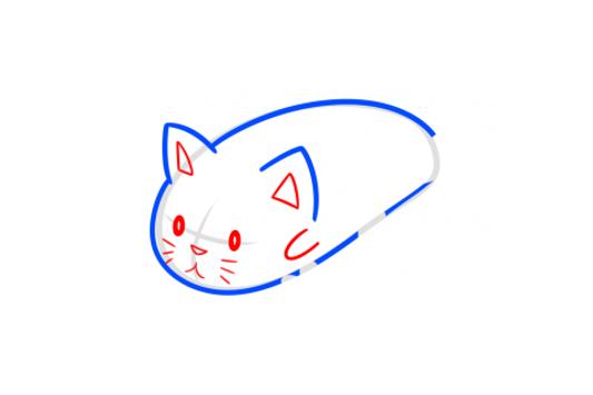 How To Draw Sushi Cat For Android Apk Download