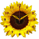 Sunflower Clock APK