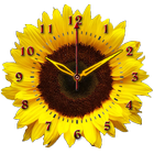 Sunflower Clock 圖標