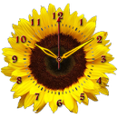 APK Sunflower Clock