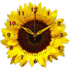 Sunflower Clock icono