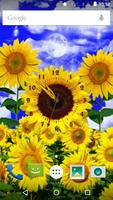 Sunflower Clock Affiche