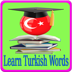 Learn Turkish Words icône