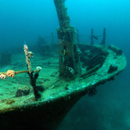 sunken ship live wallpaper APK