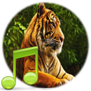 Animal Sounds APK