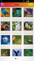 Colourful Animal Game For Kids Affiche