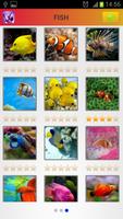 2 Schermata Colourful Animal Game For Kids