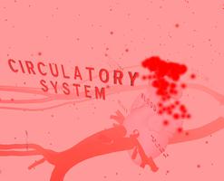 Circulatory System 3D 포스터