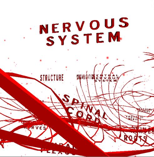 Nervous System 3d For Android Apk Download
