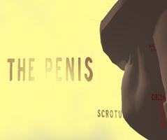 Penis 3D Poster
