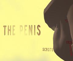 Penis 3D poster