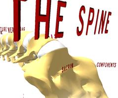 Spine 3D Affiche