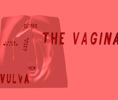 Vagina 3D الملصق
