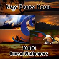 10000 All HD Sunset Wallpaper poster