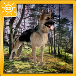 German Shepherd Sim 3D
