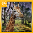 ”Giraffe Adventure Simulator