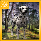 Dalmatian Survival Simulator icône