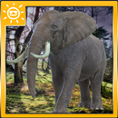 symulacja słonia aplikacja
