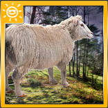 Sheep Farming Simulation