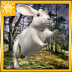 Wild Rabbit Simulator 3D APK