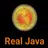 Real Java- Learn Java Really APK