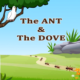 Ant & The Dove Moral Story