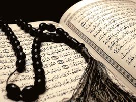 Al-Quran Dan Terjemahan скриншот 2