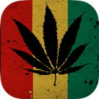 Rasta Raggae Wallpaper icon