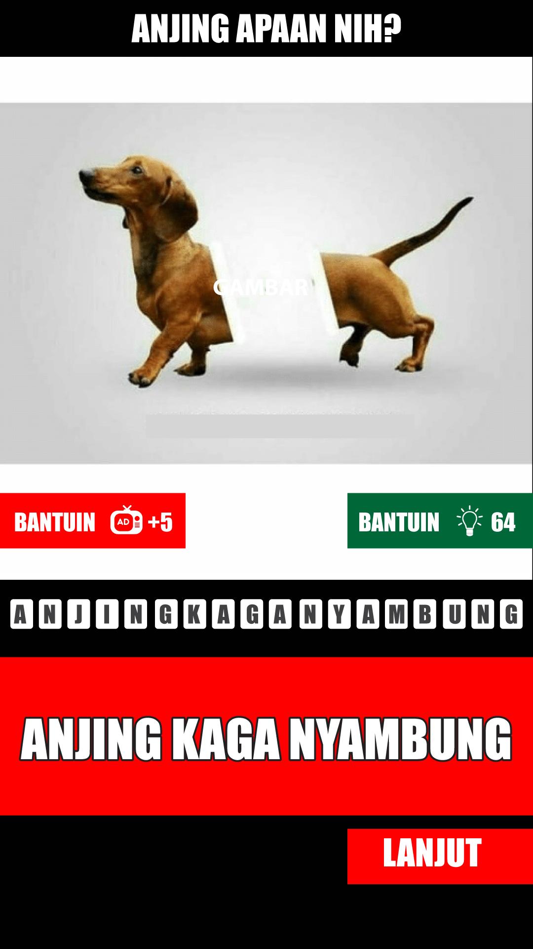 Tebak Gambar Anjing For Android Apk Download