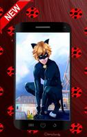 Ladybug and Cat Noir Wallpaper imagem de tela 2