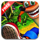 Crash Adventure иконка