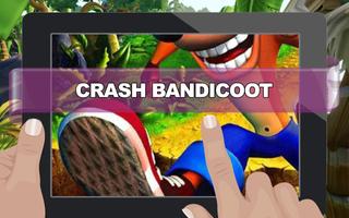 Crash Adventure Cartaz