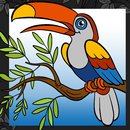 Birds Coloring Book APK