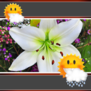 Horloge, temps APK