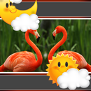 Flamant oiseau temps-horloge APK