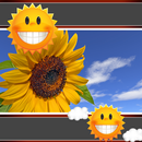 Tournesol, horloge, temps APK