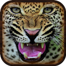APK Jungle Cheetah: Real Hunter