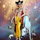 Shri Guru Dattatreya Videos APK