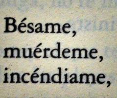 Frases Picantes اسکرین شاٹ 2