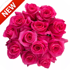 Rose Images आइकन