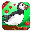 super bird runing APK