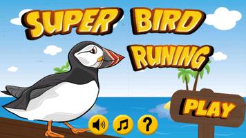 super bird runing Affiche