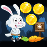Bunny Run Adventure icône