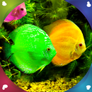 APK acquario live wallpapers