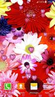 1 Schermata fiori Live Wallpapers
