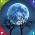 wallpaper hidup moonlight