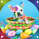 APK Sweet Animals Live Wallpapers
