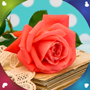 APK rosa, fiore live wallpapers