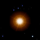 Did Betelgeuse Go Supernova? APK