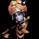 Shri Krishna Bhajan APK